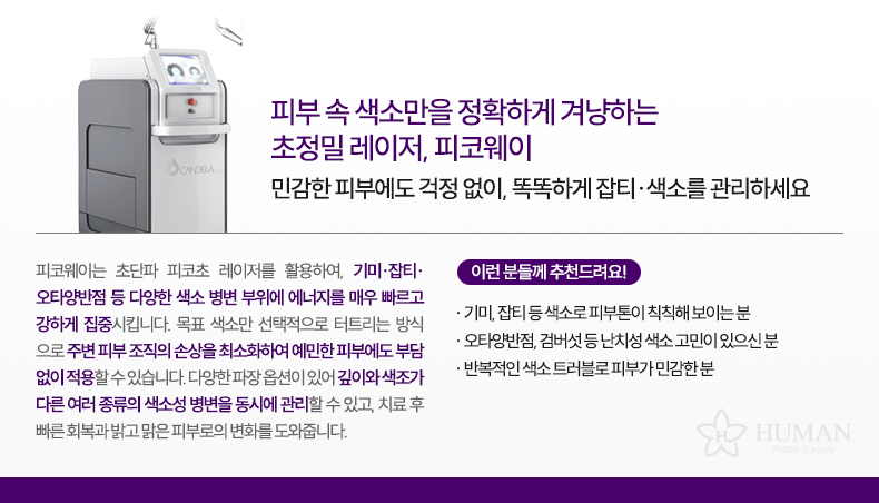 2-1_피코웨이_설명
