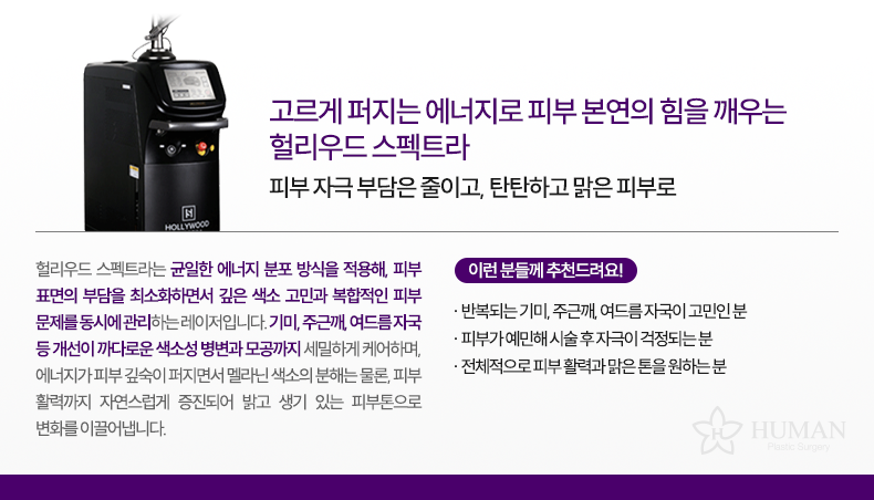 2-3_헐리우드-스펙트라_설명
