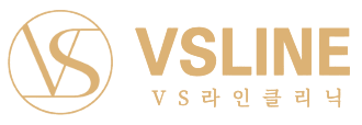 vslogo_kr1