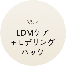 custom_4LDM모델링팩(일)2
