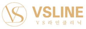 VS라인 강남점 로고