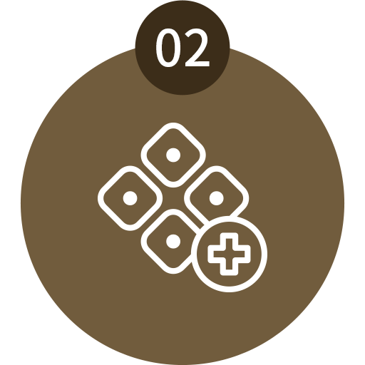 icon_0804_02