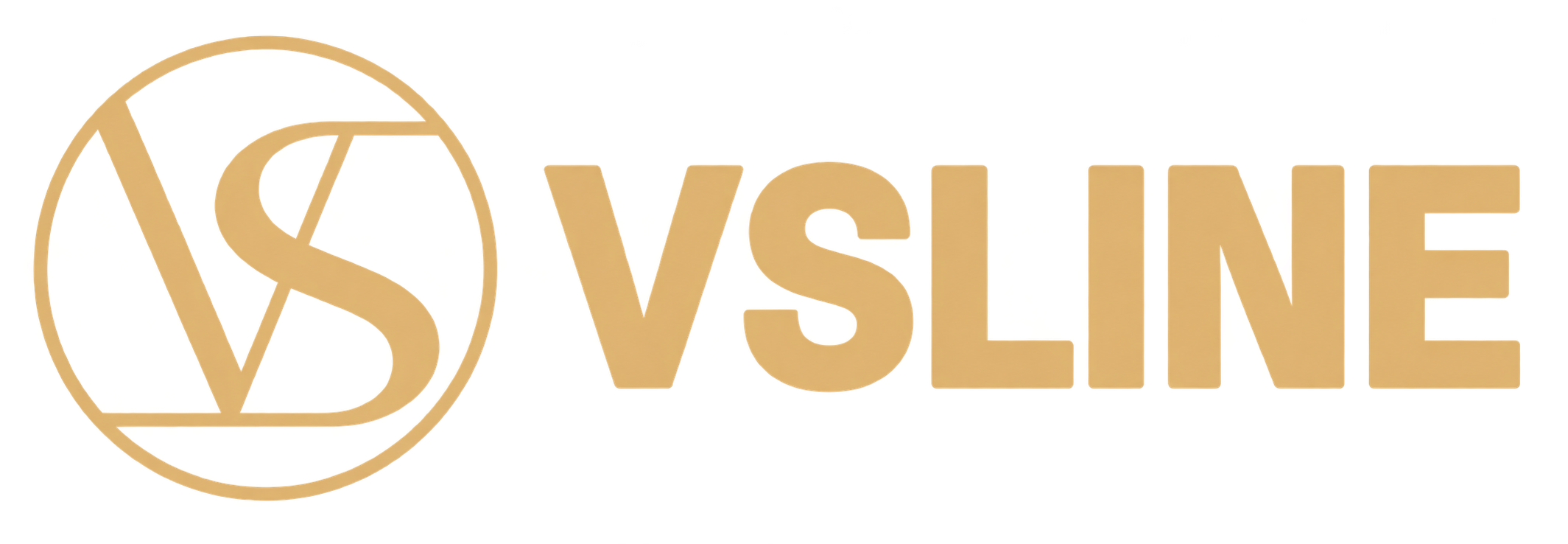 VS라인의원 강남점 VSLINE 로고